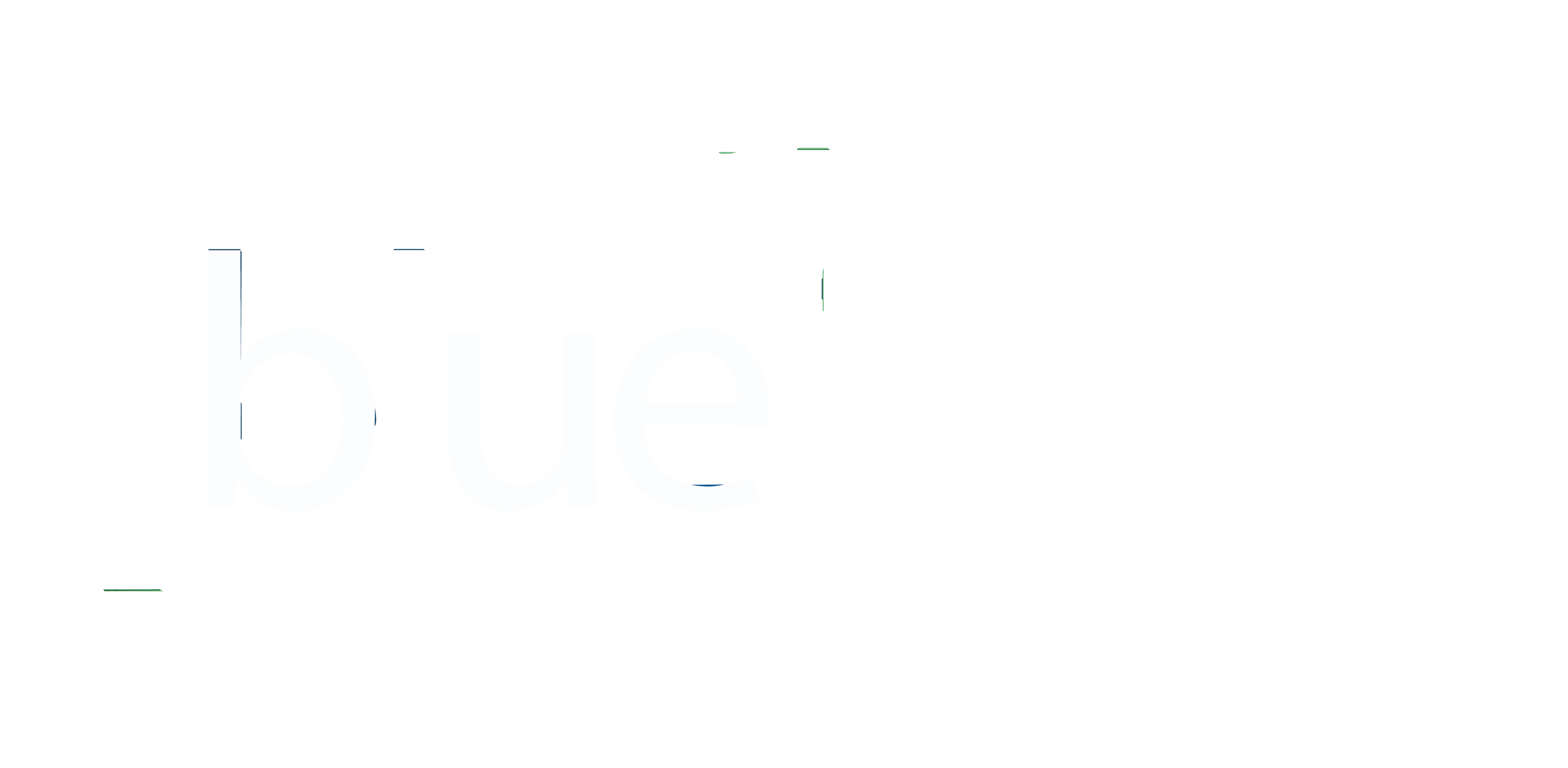 Blue Lime Surveys
