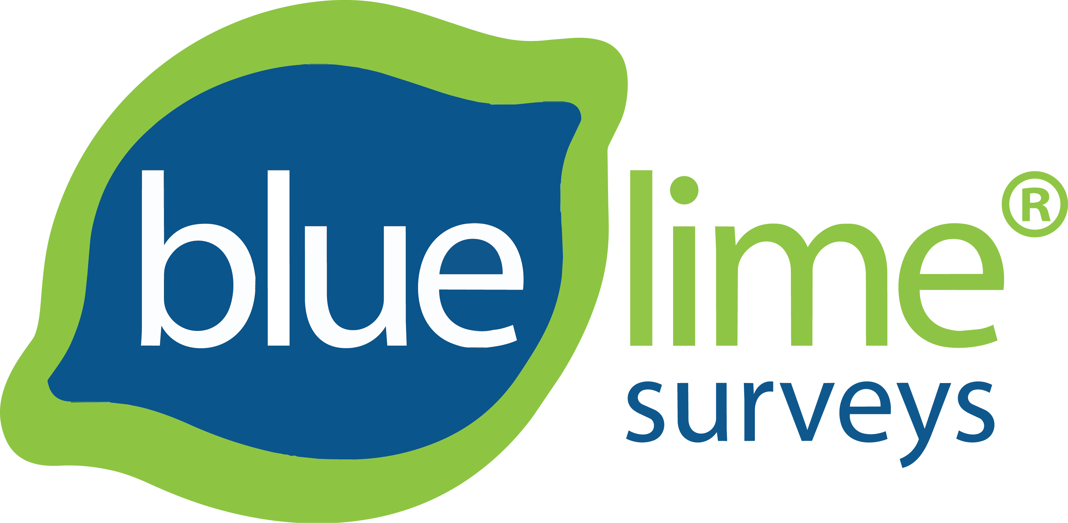Blue Lime Surveys